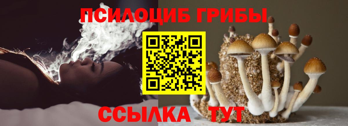 дарнет шоп  Галлюциногенные грибы Psilocybe  Псилоцибиновые грибы Psilocybe  Вход с VPN  Ирбит 