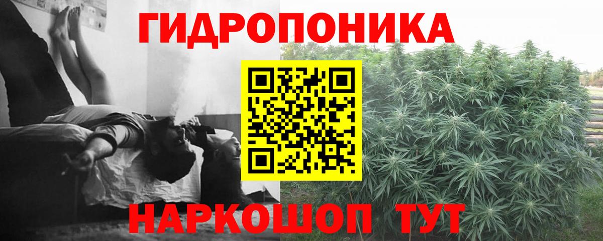 Бошки Шишки план  Канабис OG Kush  Вход с VPN  Ирбит  Марихуана ГИДРОПОН  Канабис THC 21% 
